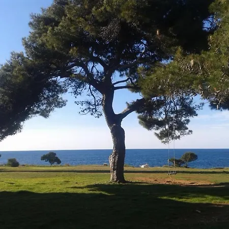 Lägenhet In With Sea View, Balcony, Washing Machine 882-1 *